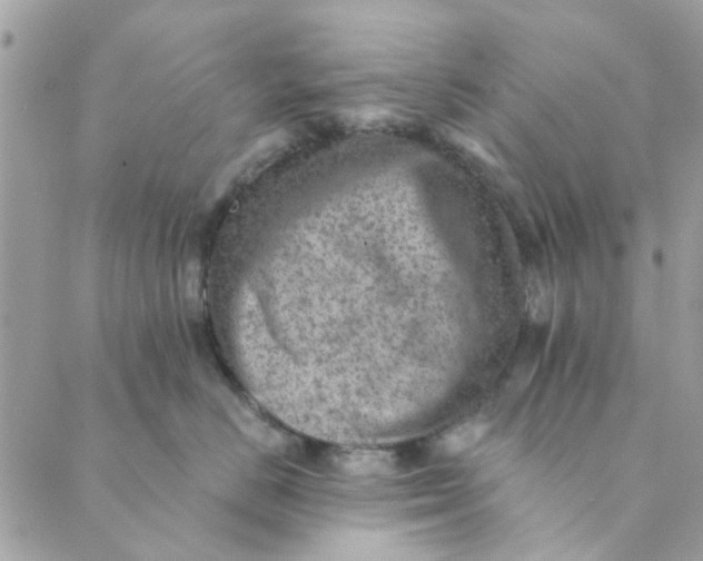 X0000089380670200707061140