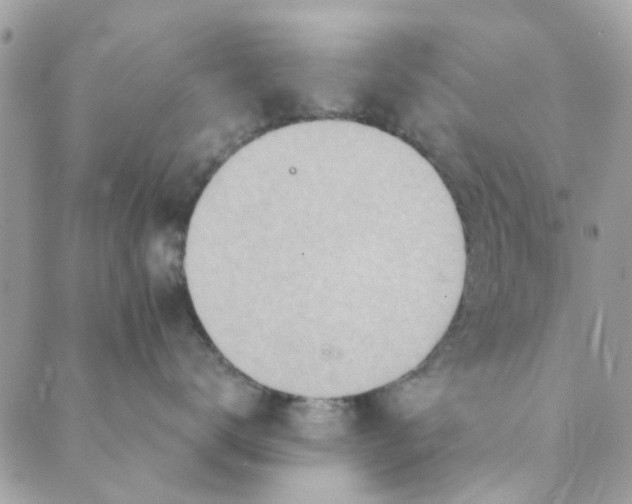 X0000089380672200707061140