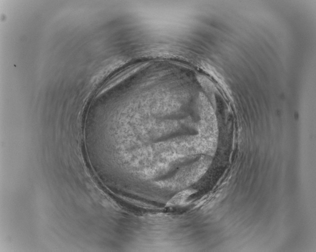 X0000089380673200707061140