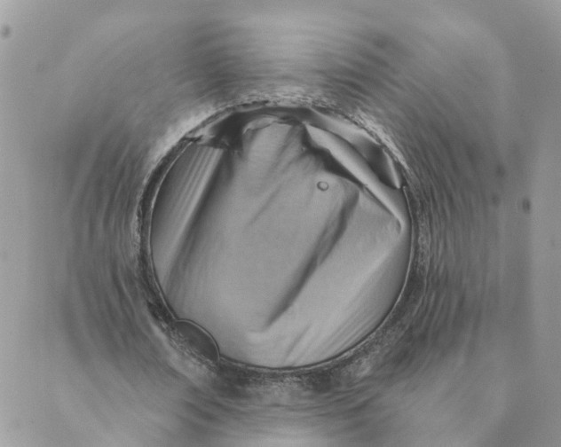 X0000089380674200707061140