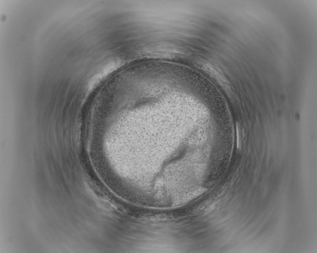 X0000089380675200707061140