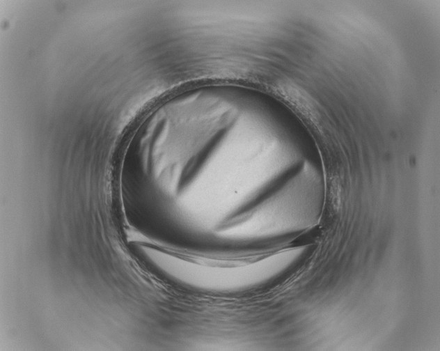 X0000089380676200707061140