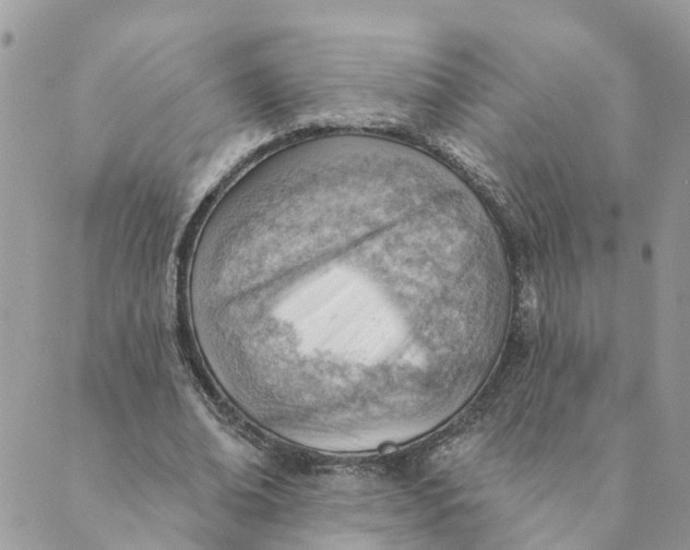 X0000089380678200707061139