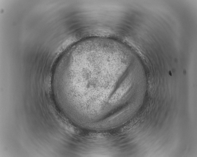 X0000089380679200707061139