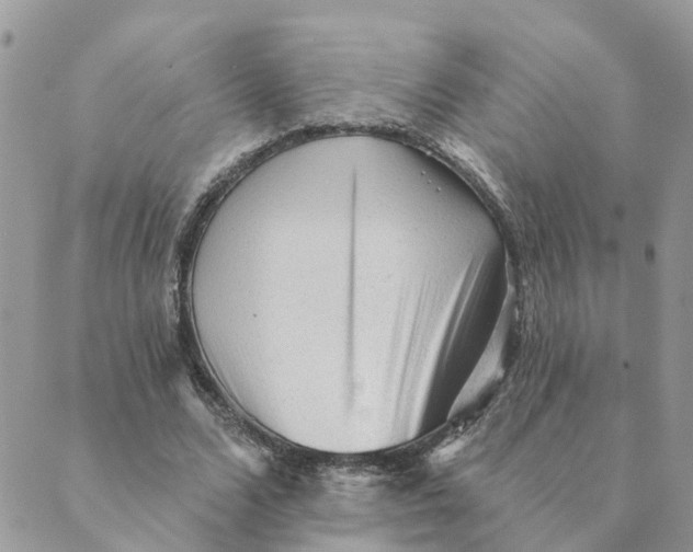 X0000089380680200707061139