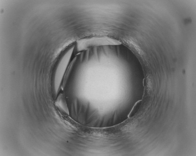 X0000089380684200707061139