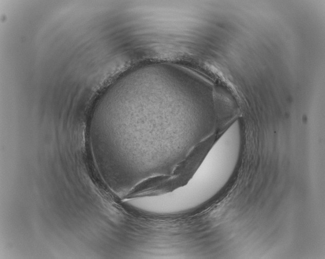 X0000089380685200707061139