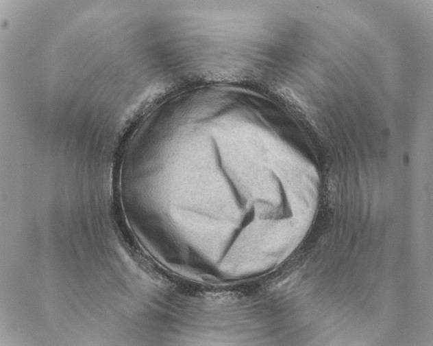 X0000089380686200707061139