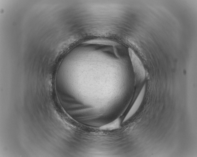 X0000089380688200707061139