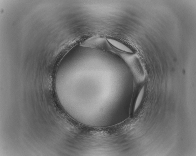 X0000089380689200707061139