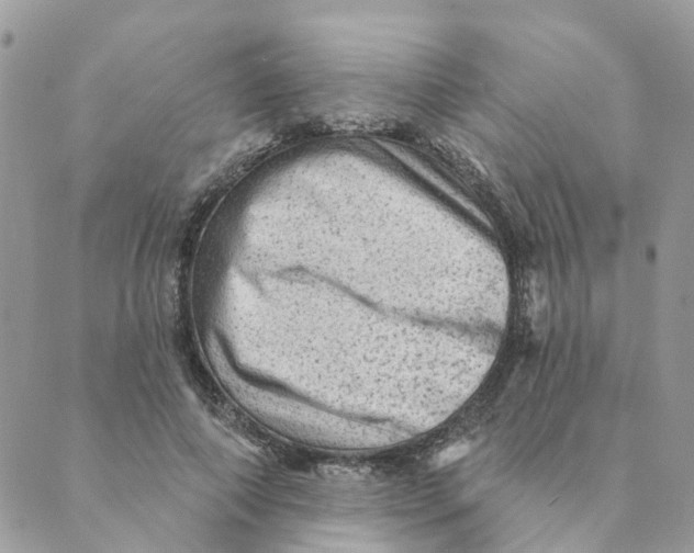 X0000089380690200707061139