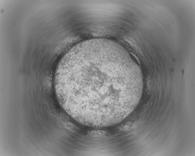 X0000089380691200707061139