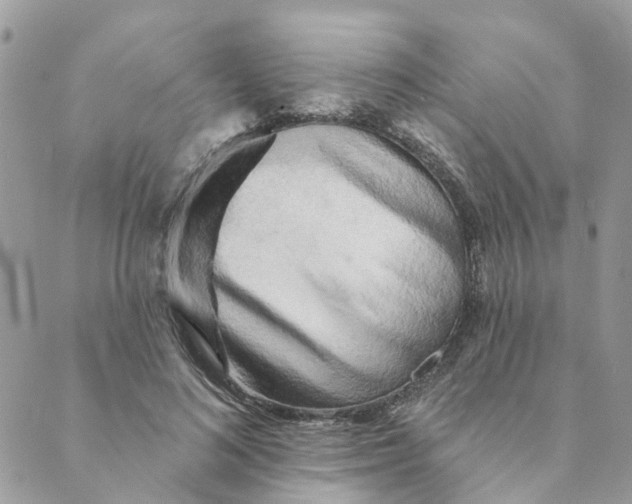 X0000089380692200707061139