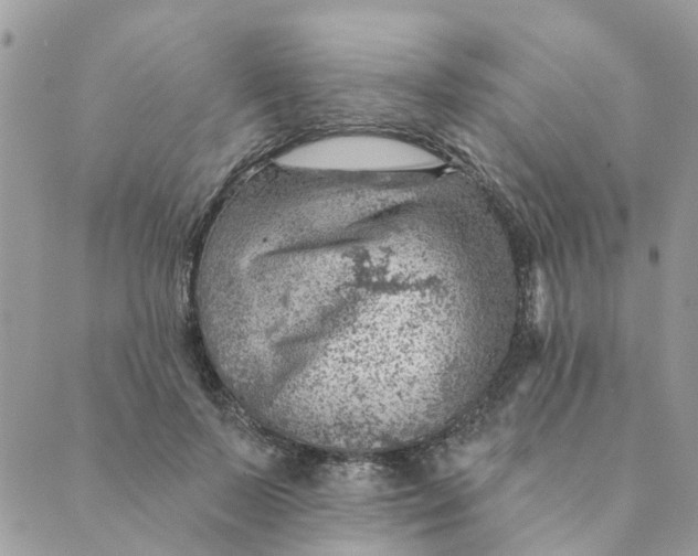 X0000089380695200707061139