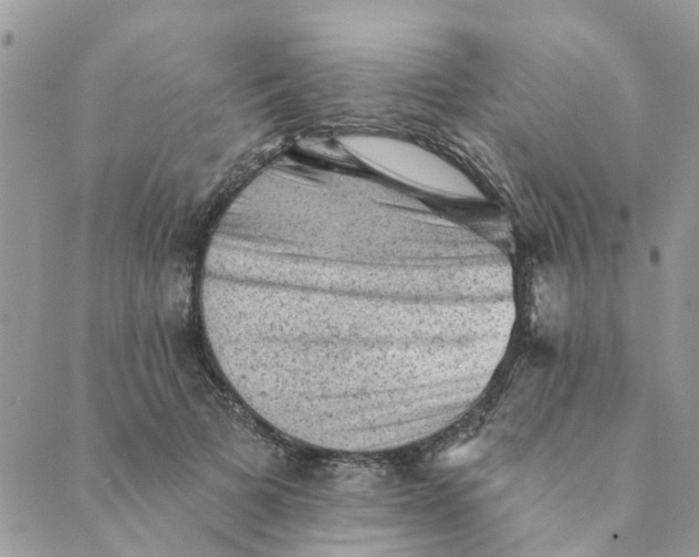 X0000089380697200707061139