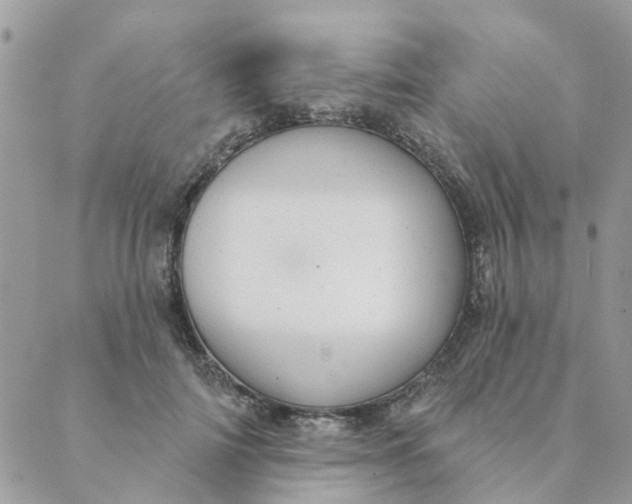 X0000089380698200707061139