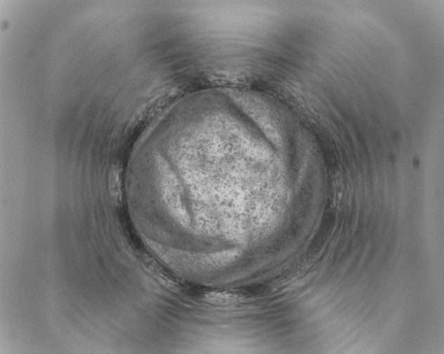 X0000089380699200707061139