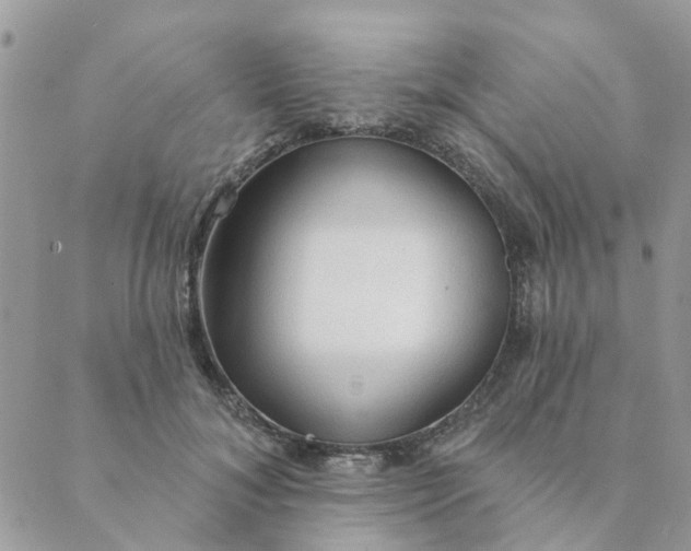 X0000089380700200707061139