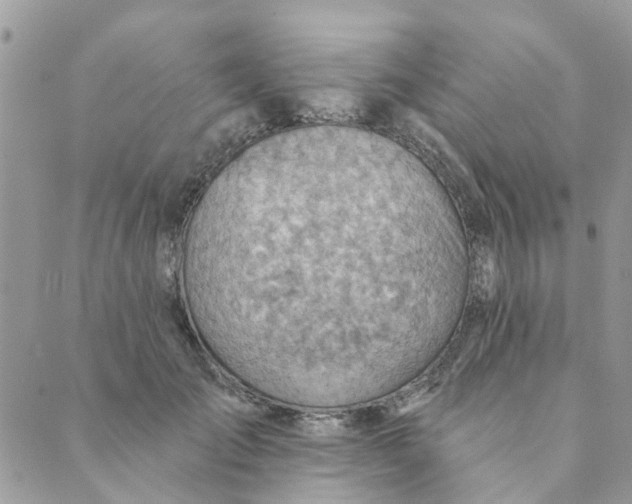 X0000089380701200707061139