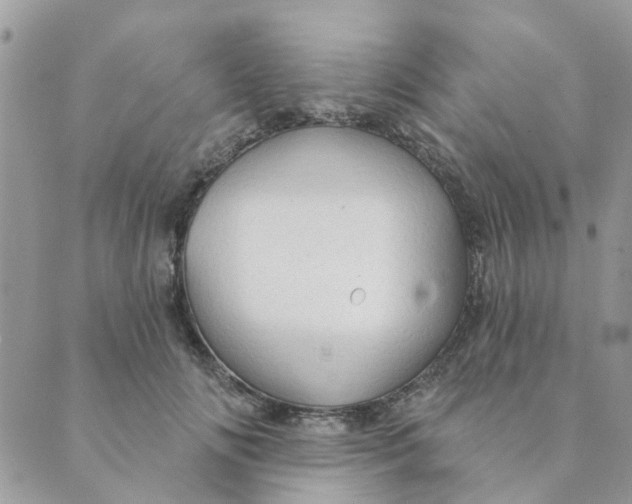 X0000089380702200707061139