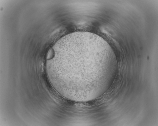 X0000089380703200707061139