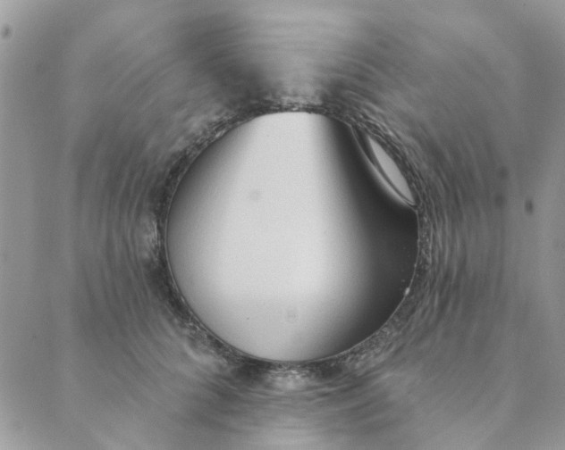 X0000089380704200707061139