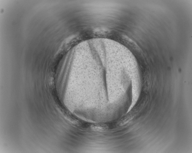 X0000089380706200707061139