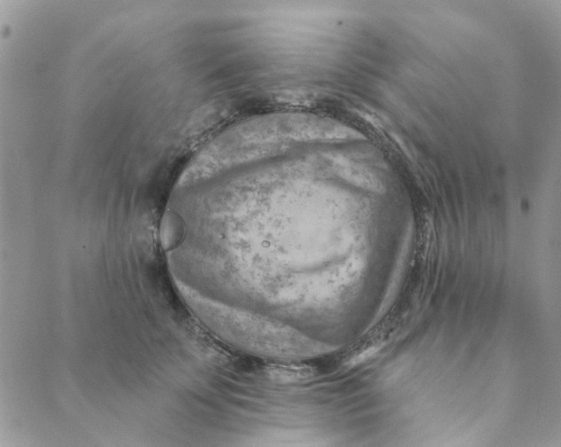 X0000089380707200707061139