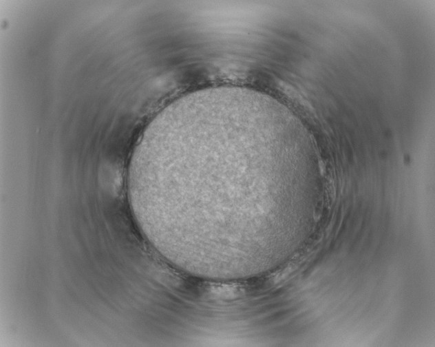 X0000089380709200707061139