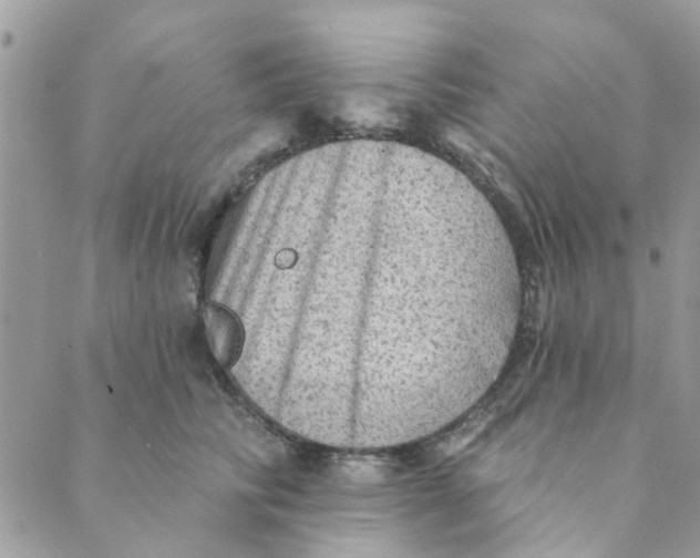 X0000089380710200707061139