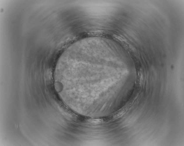 X0000089380711200707061139