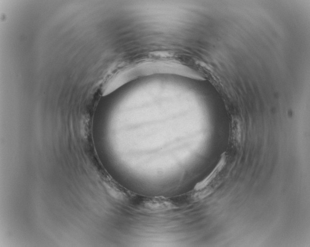 X0000089380712200707061139