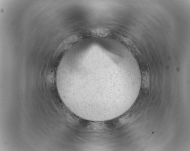 X0000089380713200707061139