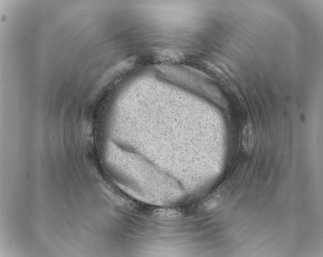 X0000089380714200707061139