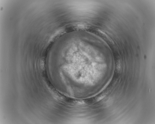 X0000089380715200707061139