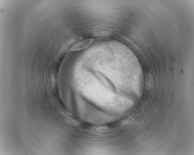 X0000089380716200707061139