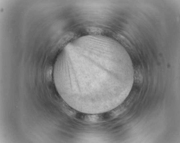 X0000089380717200707061139