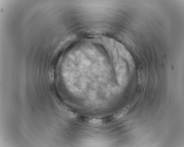 X0000089380718200707061139