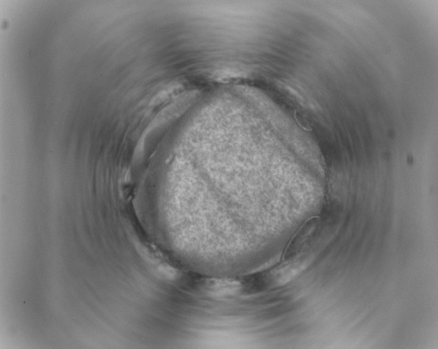 X0000089380719200707061139