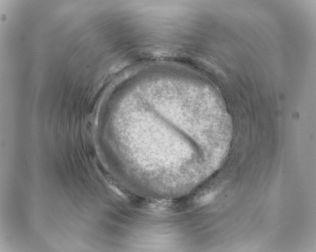 X0000089380720200707061139