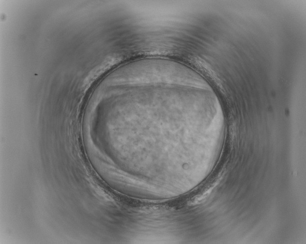 X0000089380721200707061138