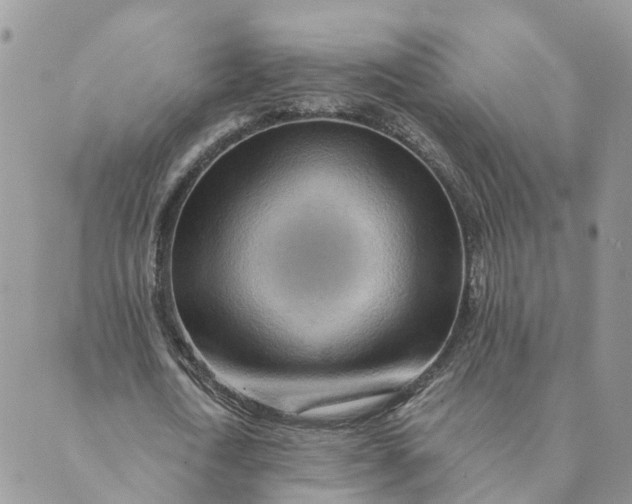 X0000089380722200707061138