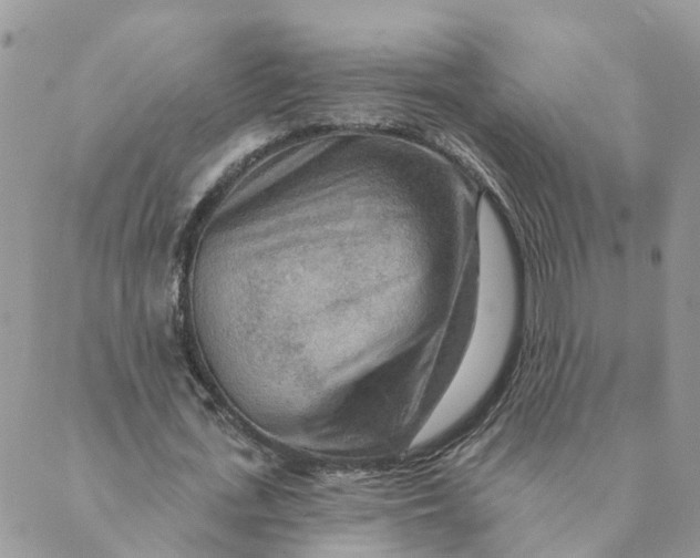 X0000089380723200707061138