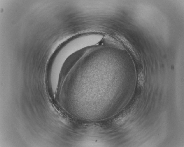 X0000089380724200707061138