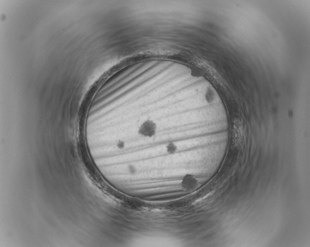 X0000089380726200707061138