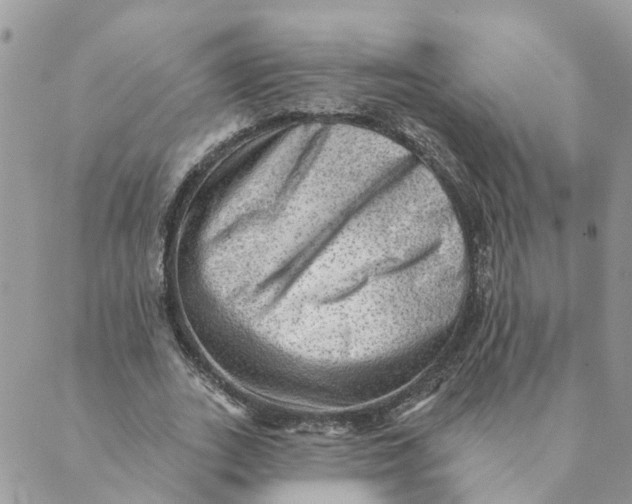 X0000089380727200707061138