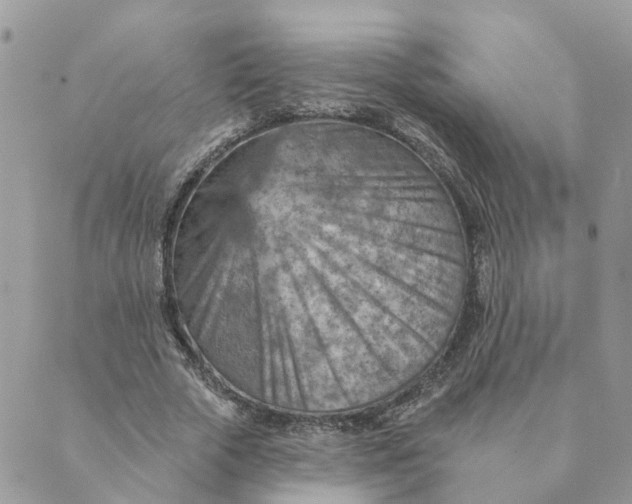 X0000089380729200707061138