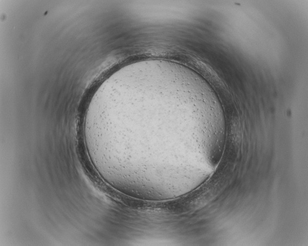 X0000089380730200707061138