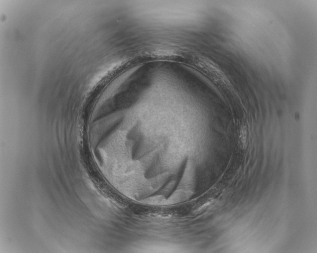 X0000089380732200707061138