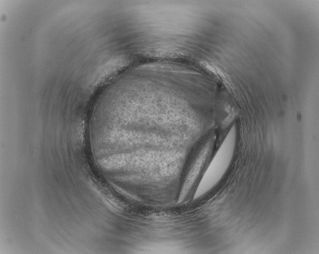 X0000089380735200707061138